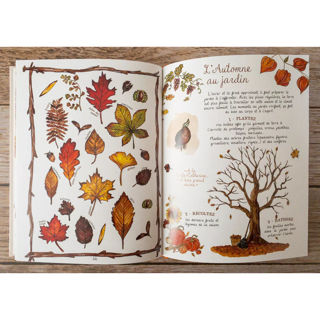 Livre - Mon automne cosy