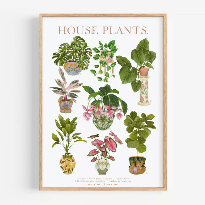 Affiche (A4) - House plants