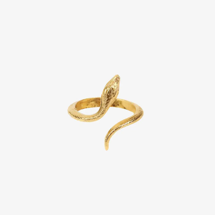 BAGUE SNAKE OR